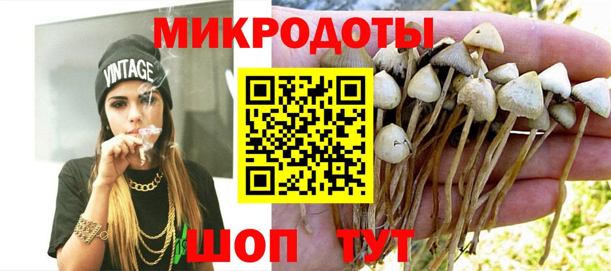 Бугуруслан  Псилоцибиновые грибы Psilocybine cubensis  Вход с VPN 